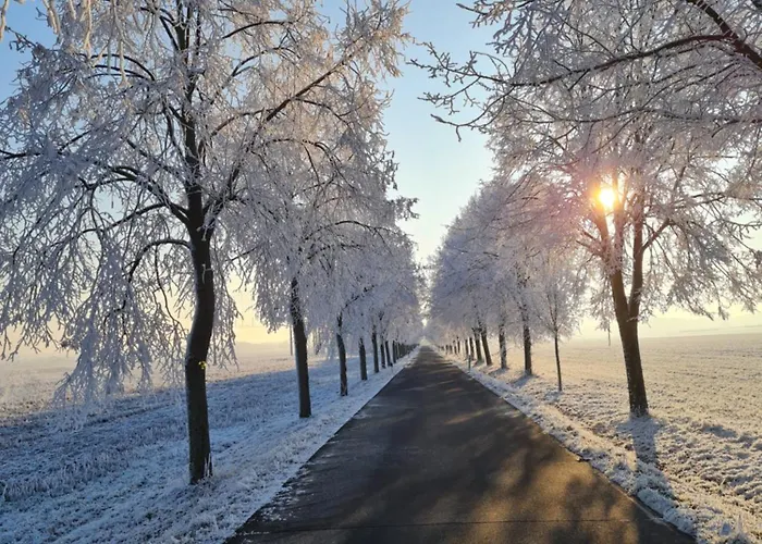 Energiepunkt Am Planitzwald Apartment Bennewitz
